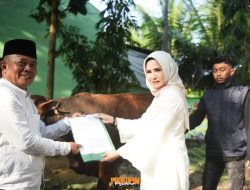 13 Sapi Dan 4 Kambing Disembelih Di Islamic Center Pesawaran