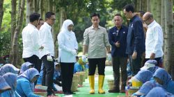 Panen Raya Kopi Ijen, Wapres Dukung Peningkatan Produktivitas, Hilirisasi dan Branding Kopi Indonesia