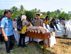 PTPN IV PalmCo Salurkan 1,6 Ton Benih Padi Gogo untuk Petani Sawit di Labuhanbatu