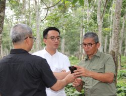 Trend Positif Harga Karet Dunia, PTPN I Siapkan Strategi Untuk Raih Laba Optimal