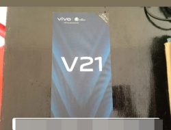 Curat di Way Kanan, Polsek Way Tuba Ringkus Pelaku Curi Satu Unit HP Vivo di Way Tuba