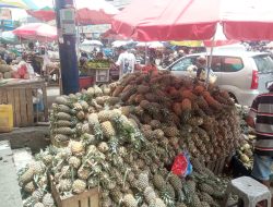 Pedagang Buah Lampung Sukses Kembangkan Usaha Berkat KUR BRI