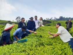 Dekom PTPN III: “Optimalkan Teknologi untuk Kejar Produksi!”