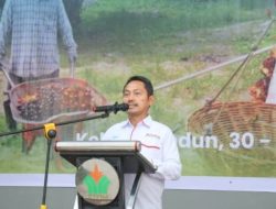 Asosiasi Petani Apresiasi PalmCo Perbaiki Tata Kelola Kemitraan Sawit