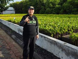 Rektor Universitas Teknokrat Indonesia Nasrullah Yusuf Ikut Tanam Mangrove di Persemaian Mangrove G20 Suwung Denpasar Bali