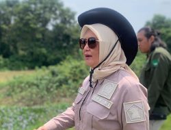 Dwita Ria Desak Peningkatan Kesejahteraan MMP dan Percepatan Mitigasi Konflik Gajah di Way Kambas