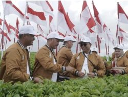 Kebun Teh Kayu Aro Rayakan Seabad, 100 Bendera Merah Putih Berkibar di Kaki Gunung Kerinci