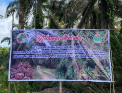 Dorong Keberlanjutan Sawit Rakyat, Holding Perkebunan Nusantara Melalui PTPN IV Regional V Kawal PSR di Landak