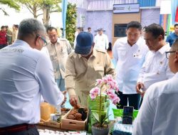 Prabowo Minta Hilirisasi Gambir Dipercepat, Produktivitas Petani Jadi Fokus