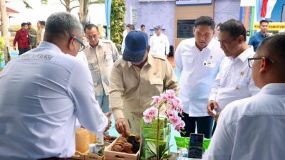 Prabowo Minta Hilirisasi Gambir Dipercepat, Produktivitas Petani Jadi Fokus