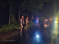 Satlantas Polres Way Kanan Datangi Laka Lantas di Jalinsum Umpu Kencana Akibatkan Korban Jiwa dan Luka Berat