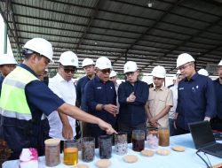 Danantara: Transformasi PalmCo Dinilai Perkuat Kemandirian Pangan dan Energi Nasional