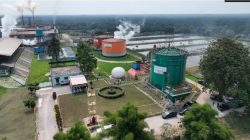 ROA PalmCo Tembus 7,9 Persen, Sinyal Penguatan Kinerja Aset Holding Perkebunan Nusantara