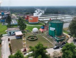 ROA PalmCo Tembus 7,9 Persen, Sinyal Penguatan Kinerja Aset Holding Perkebunan Nusantara