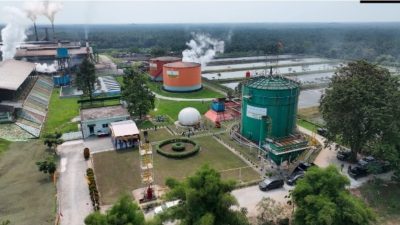 ROA PalmCo Tembus 7,9 Persen, Sinyal Penguatan Kinerja Aset Holding Perkebunan Nusantara