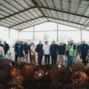 Di Bawah Holding Perkebunan Nusantara, Transformasi PalmCo Dinilai Jadi Fondasi Kemandirian Pangan dan Energi