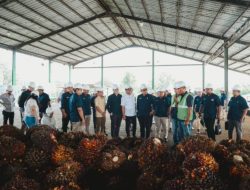 Di Bawah Holding Perkebunan Nusantara, Transformasi PalmCo Dinilai Jadi Fondasi Kemandirian Pangan dan Energi