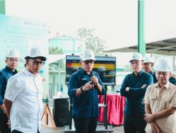 Di Bawah Holding Perkebunan Nusantara, PalmCo Bidik Posisi Perusahaan Sawit Terbaik Dunia