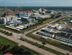 Holding Perkebunan Nusantara Percepat Hilirisasi Sawit, PalmCo Siap Groundbreaking Fasilitas Baru Pasca Lebaran