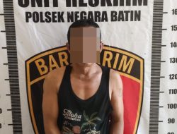 Curi Buah Sawit dan Simpan Senpi Rakitan, Pria Asal Tulang Bawang Barat Diringkus Polisi