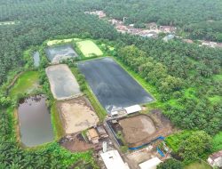 PLTBg Berbasis Limbah Sawit Jadi Strategi PalmCo Hadapi Fluktuasi Energi Global