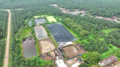 PLTBg Berbasis Limbah Sawit Jadi Strategi PalmCo Hadapi Fluktuasi Energi Global