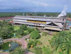Melalui PalmCo, Holding Perkebunan Nusantara Perluas Akses Digital bagi Sekolah di Pelosok